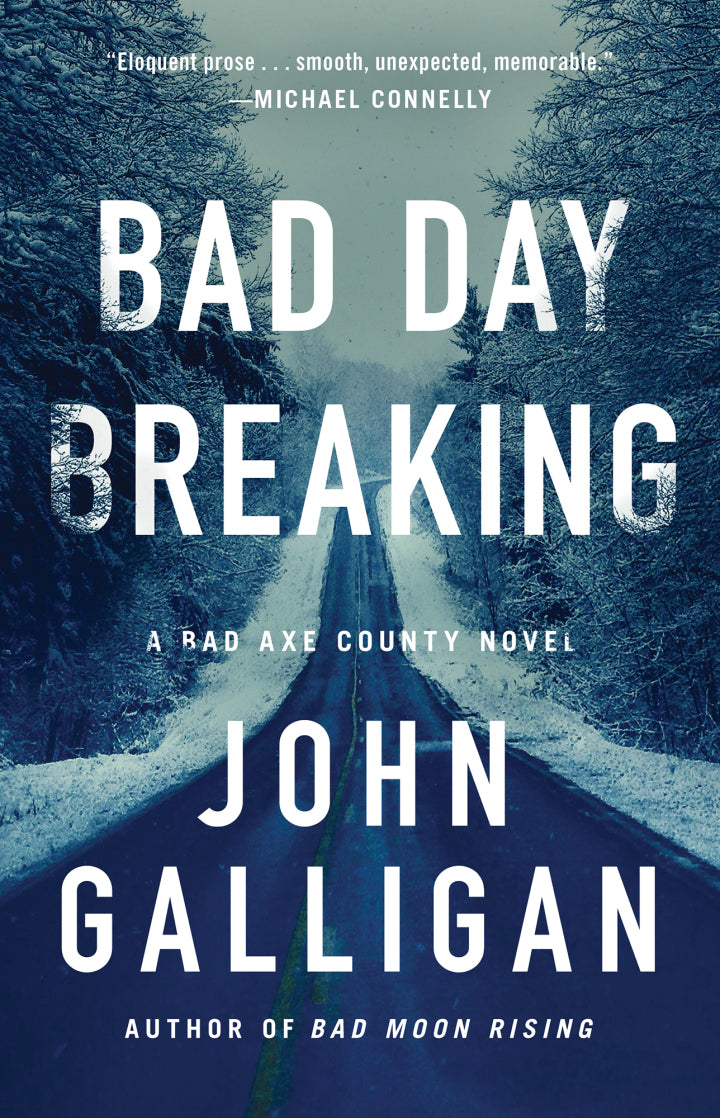 Bad Day Breaking A Novel